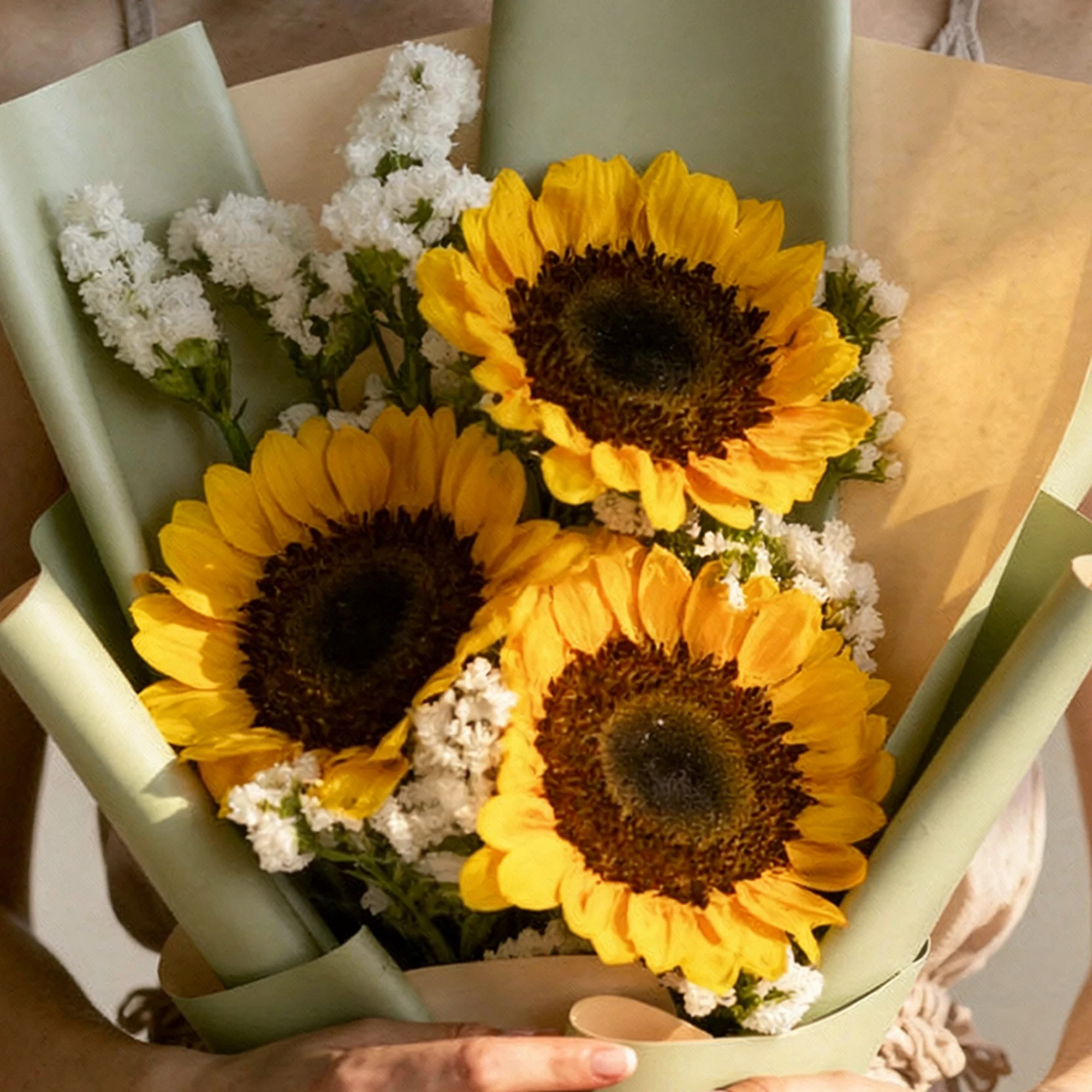 3 Sunflower Bouquet with white statice and green wrapping